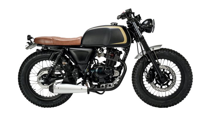 Mutt Akita 125 Black and Gold Right Side