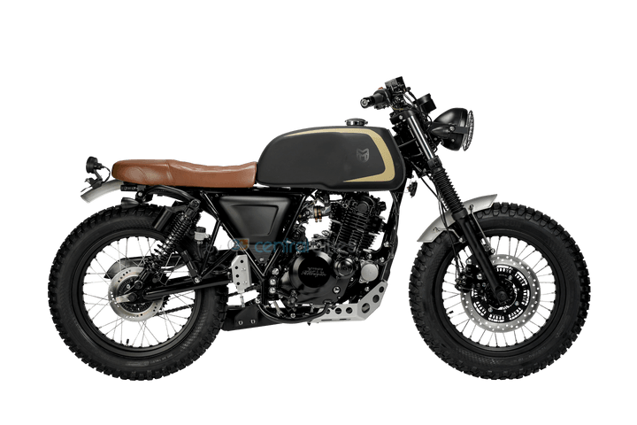 Mutt Akita 250 Gold and Black Right